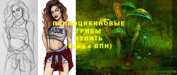 соль ск Аркадак